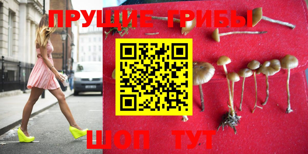 Галлюциногенные грибы MAGIC MUSHROOMS Белово