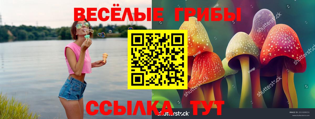 Галлюциногенные грибы Cubensis  Вход с VPN  Белово  Галлюциногенные грибы Psilocybe 